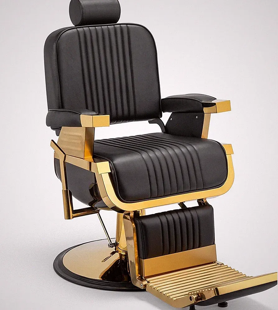 Heavy Duty Salon Chair Hydraulic Barber Chair with Reclining Back, 360° Swivel